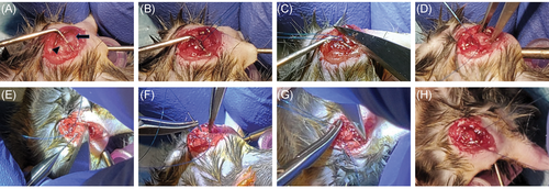 Details are in the caption following the image Details are in the caption following the image