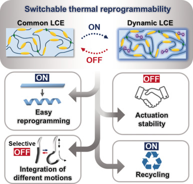 Liquid-Crystalline Soft Actuators with Switchable Thermal Reprogrammability