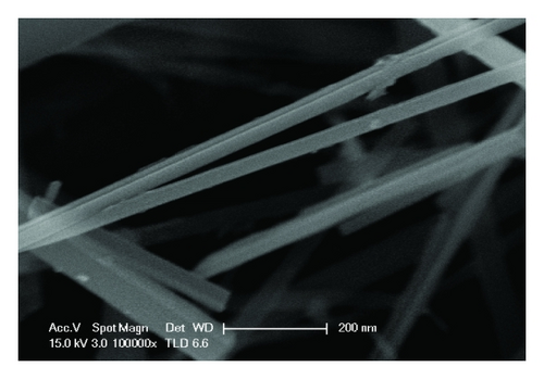 Details are in the caption following the image