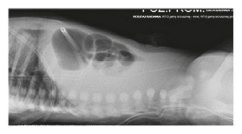 Details are in the caption following the image