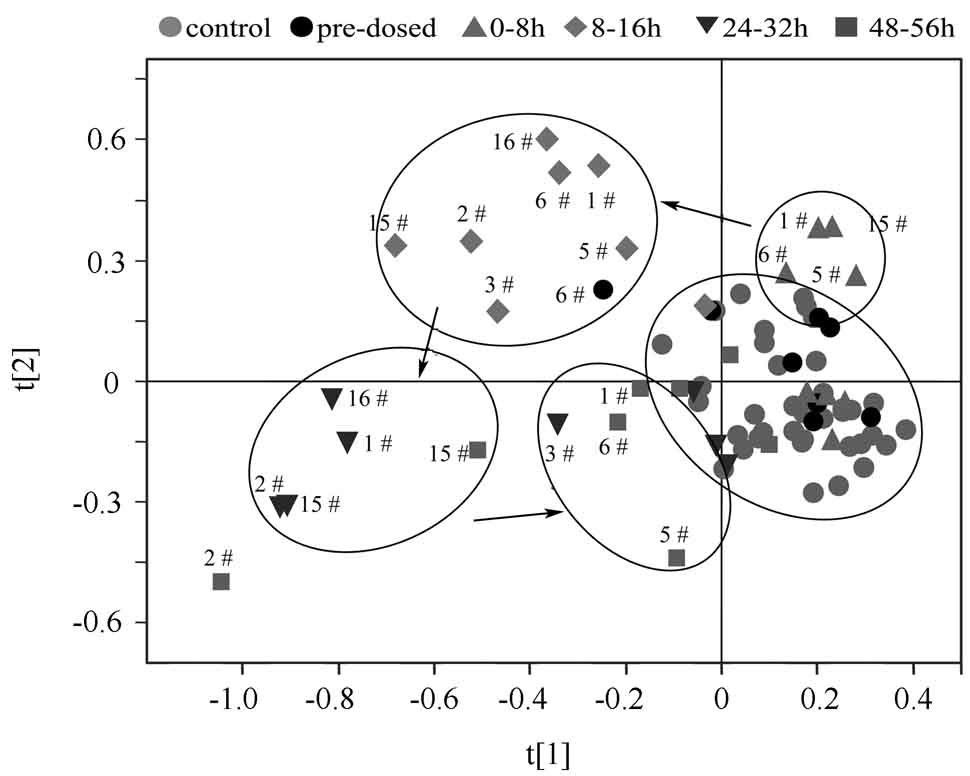 NMR-based Metabonomic Study on Rat's Urinary Metabolic Response to Dosage of Triptolide