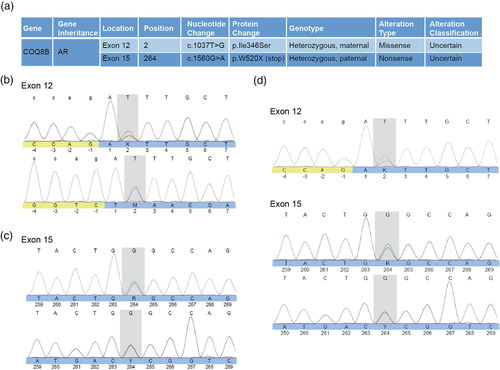 Details are in the caption following the image Details are in the caption following the image