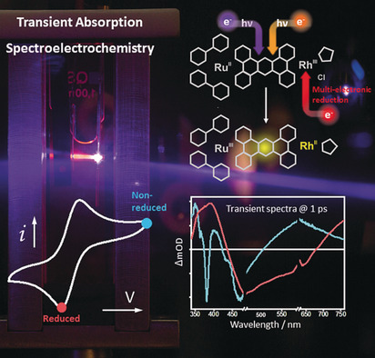 Unraveling the Light-Activated Reaction Mechanism in a Catalytically Competent Key Intermediate of a Multifunctional Molecular Catalyst for Artificial Photosynthesis
