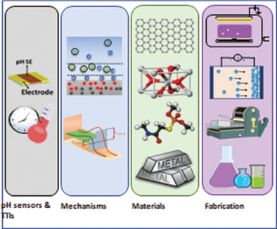 Nanomaterials in Smart Packaging Applications: A Review