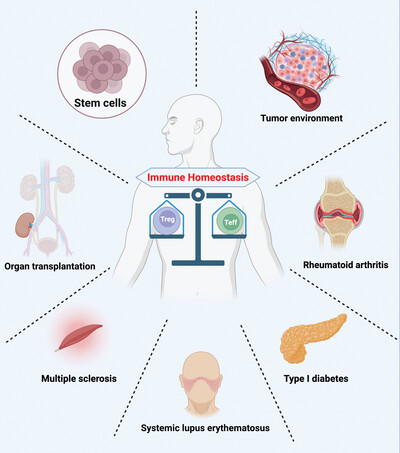 Different subpopulations of regulatory T cells in human autoimmune disease, transplantation, and tumor immunity
