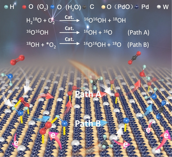 Electronically Engineering Water Resistance in Methane Combustion with an Atomically Dispersed Tungsten on PdO Catalyst