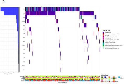 Genetic profile of non-small cell lung cancer (NSCLC): A hospital-based survey in Jinhua