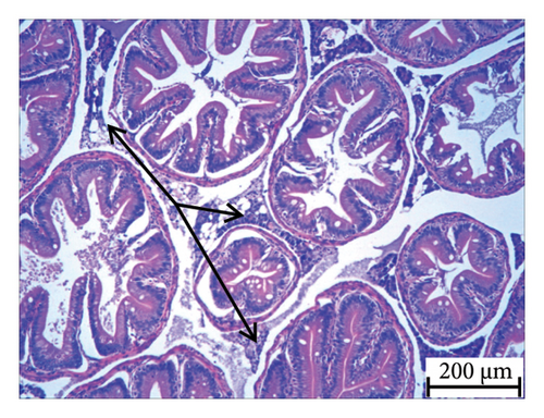 Details are in the caption following the image