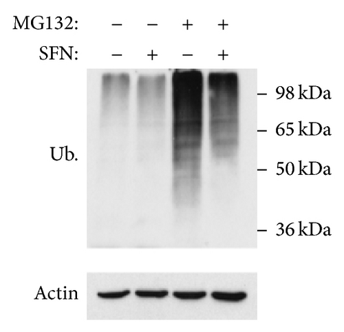 Details are in the caption following the image