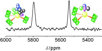 Probing a Homoleptic PbS3 Coordination Environment in a Designed Peptide Using 207Pb NMR Spectroscopy: Implications for Understanding the Molecular Basis of Lead Toxicity