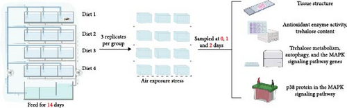 Details are in the caption following the image