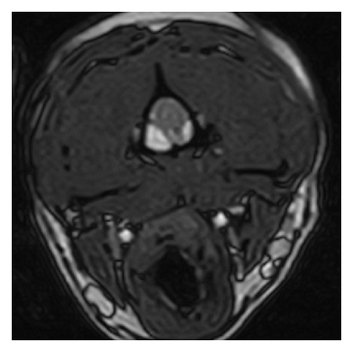 Details are in the caption following the image Details are in the caption following the image
