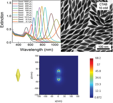 Seed-Mediated Synthesis of Gold Nanobipyramids at Low CTAB Concentration Using Binary Surfactants