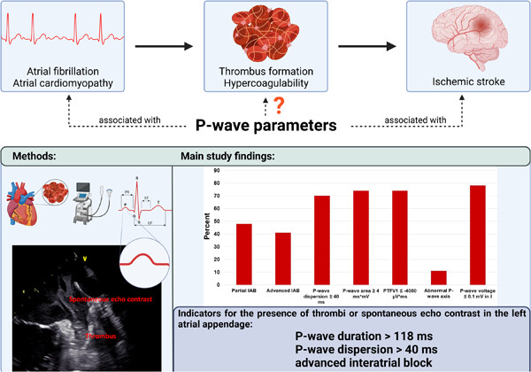 P-wave parameters and their association with thrombi and spontaneous echo contrast in the left atrial appendage
