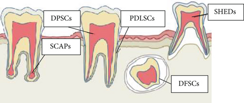 Details are in the caption following the image