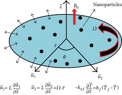 Details are in the caption following the image