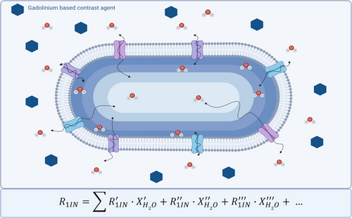 Details are in the caption following the image