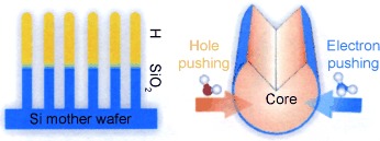Surface Passivation and Transfer Doping of Silicon Nanowires
