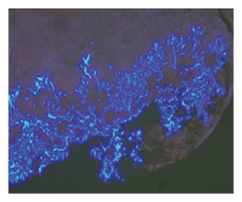 Details are in the caption following the image Details are in the caption following the image
