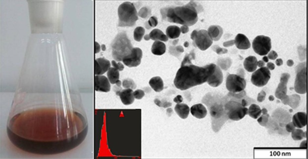 Mycosynthesized Silver Nanoparticles as Potent Growth Inhibitory Agents Against Selected Waterborne Human Pathogens