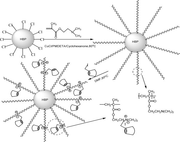 β-Cyclodextrin polymer brushes based on hyperbranched polycarbosilane: Synthesis and characterization