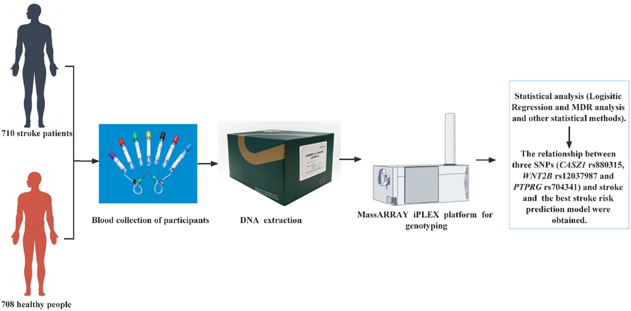 Effects of CASZ1, WNT2B and PTPRG SNPs on stroke susceptibility in the Chinese Han population