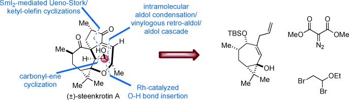 Total Synthesis of Diterpenoid Steenkrotin A
