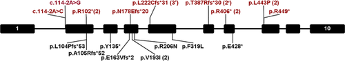 Details are in the caption following the image