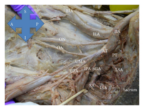 Details are in the caption following the image Details are in the caption following the image