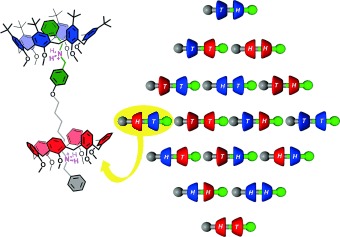 Pseudorotaxanes with Self-Sorted Sequence and Stereochemical Orientation