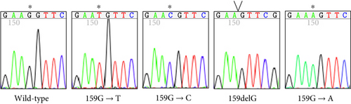Details are in the caption following the image Details are in the caption following the image