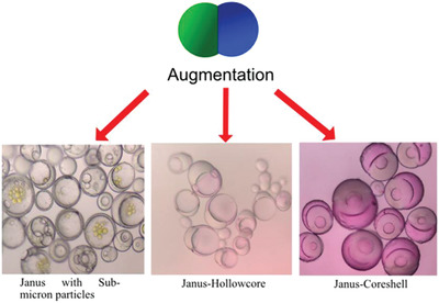 Synthesis of Polymeric Janus Superstructures via a Facile Synthesis Method