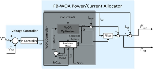 Details are in the caption following the image Details are in the caption following the image