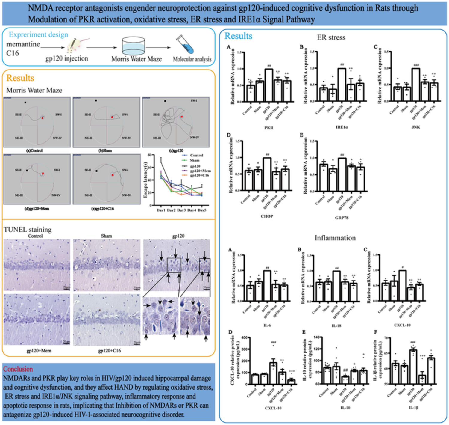 NMDA receptor antagonists engender neuroprotection against gp120-induced cognitive dysfunction in rats through modulation of PKR activation, oxidative stress, ER stress and IRE1α signal pathway