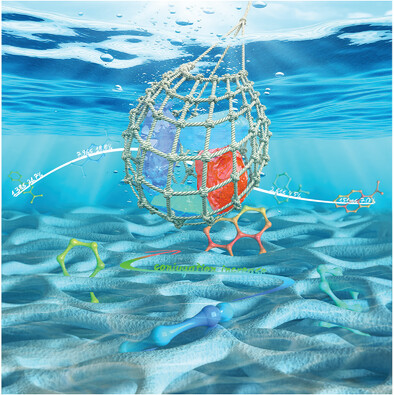 Stable, Full-Color, Long-Lasting Aqueous Room-Temperature Phosphorescent Materials
