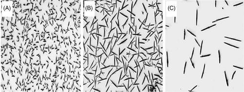 Details are in the caption following the image