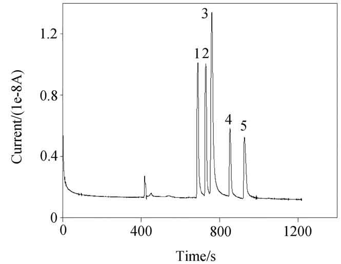 Determination of Bioactive Components in Polygonum perfoliatum L. by Capillary Electrophoresis with Electrochemical Detection