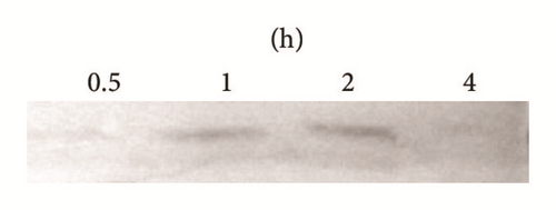 Details are in the caption following the image