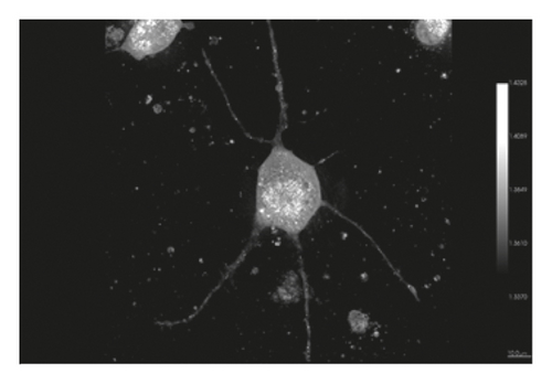 Details are in the caption following the image