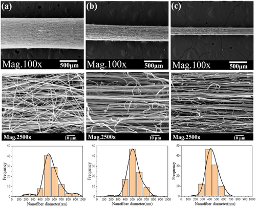 Details are in the caption following the image Details are in the caption following the image