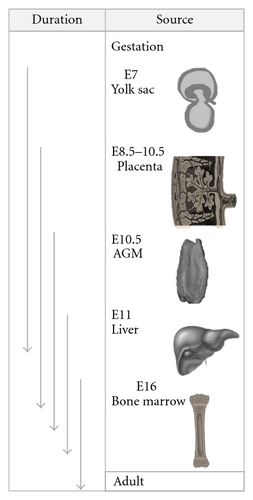 Details are in the caption following the image