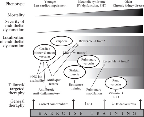 Details are in the caption following the image