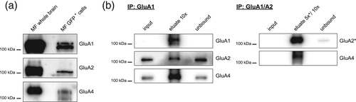 Details are in the caption following the image
