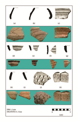 Details are in the caption following the image Details are in the caption following the image