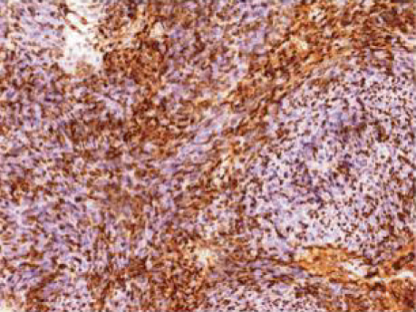 Details are in the caption following the image