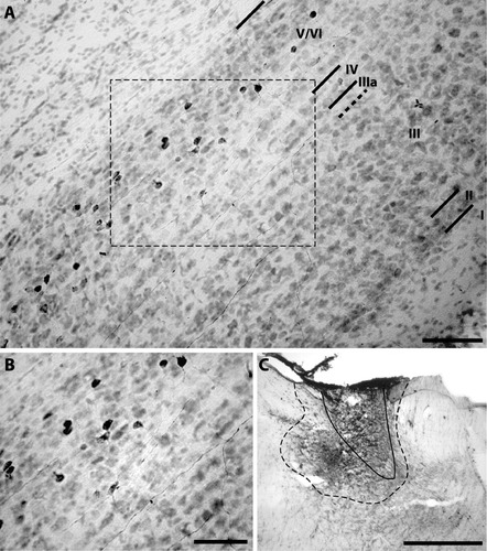Details are in the caption following the image Details are in the caption following the image