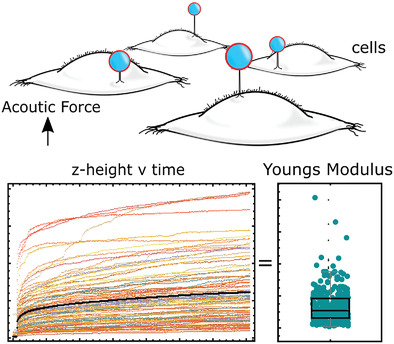 An Acoustic Platform for Single-Cell, High-Throughput Measurements of the Viscoelastic Properties of Cells