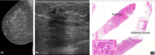 Details are in the caption following the image Details are in the caption following the image