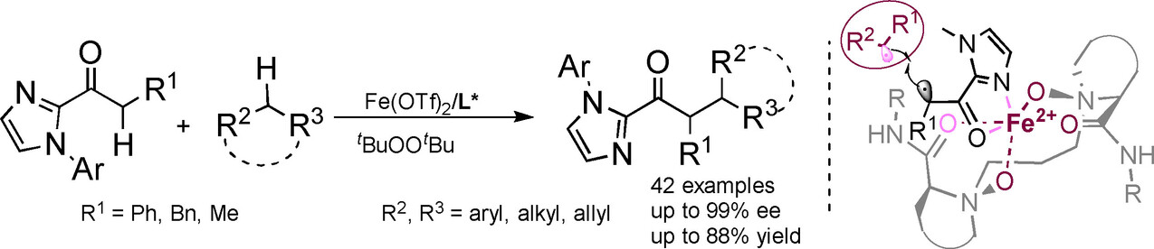 Iron-Catalyzed Asymmetric α-Alkylation of 2-Acylimidazoles via Dehydrogenative Radical Cross-Coupling with Alkanes
