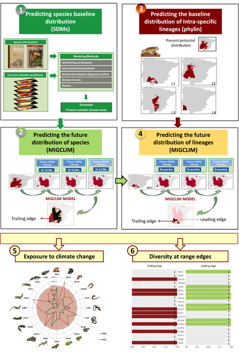Genes on the edge: A framework to detect genetic diversity imperiled by climate change